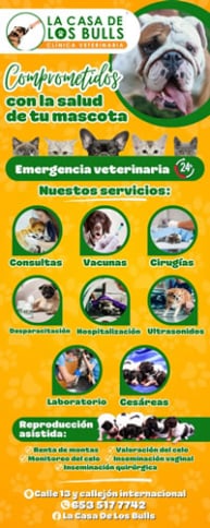 La casa de los bulls.