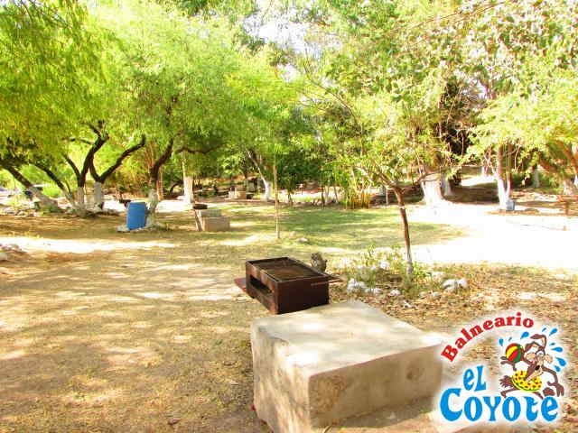 Arroyo Natural 