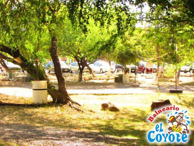 Arroyo Natural 