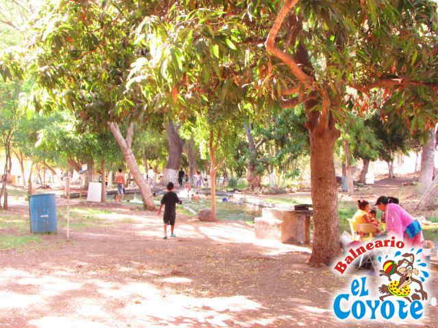 Arroyo Natural