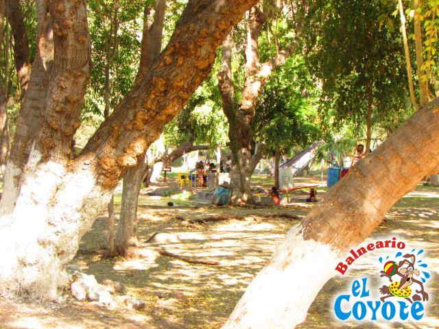 Arroyo Natural