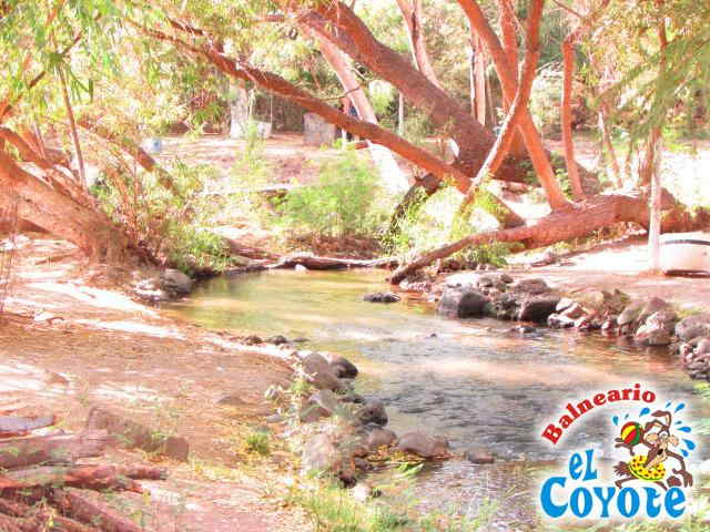 Arroyo Natural 
