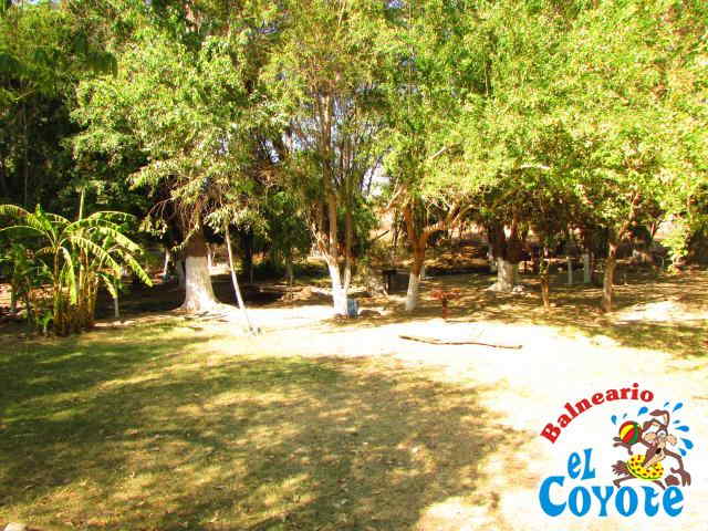Arroyo Natural