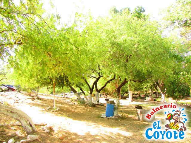 Arroyo Natural
