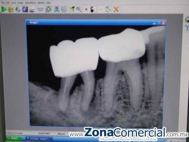 Dentista Claudia Castro