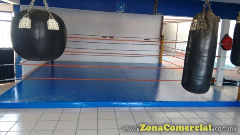 LONAS PARA GIMNACIOS