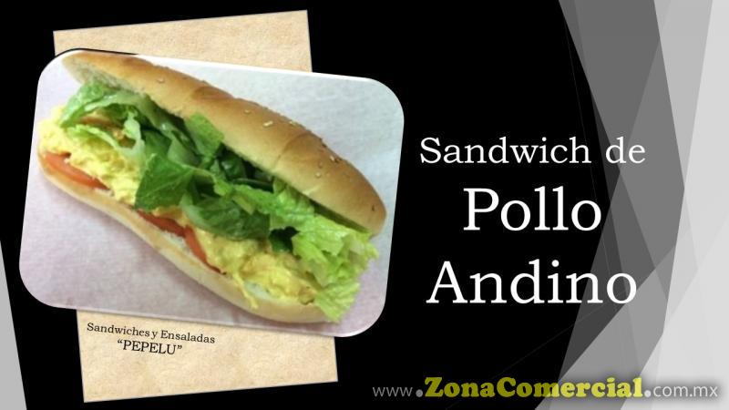 Sandwich de Pollo Andino