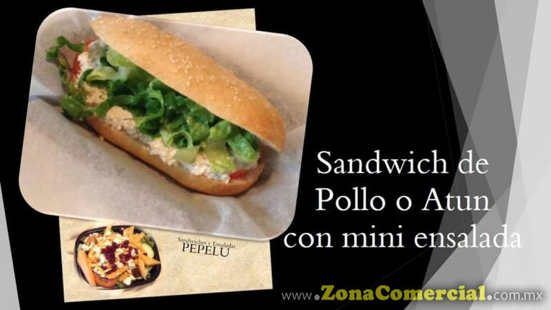 Sandwich de Pollo o Atún con mini ensalada.