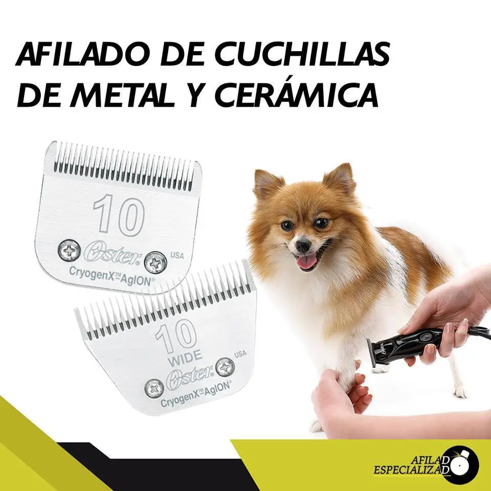AFILADO DE BROCAS-AFILADO DE BROCAS