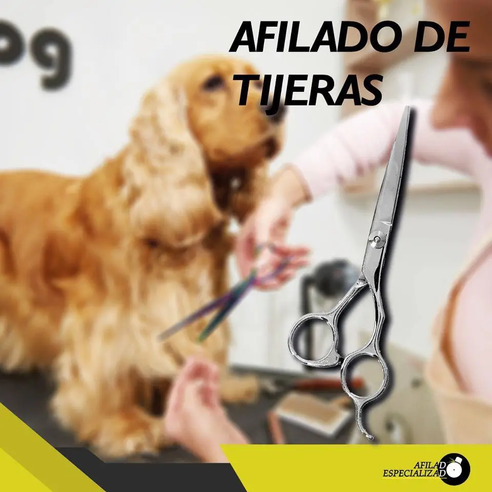 AFILADO DE TIJERAS-AFILADO DE TIJERAS