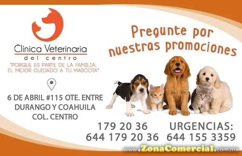 PROMOCIONES VETERINARIA DEL CENTRO-PROMOCIONES VETERINARIA DEL CENTRO