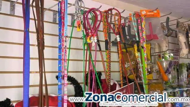 Correas para tu mascota.