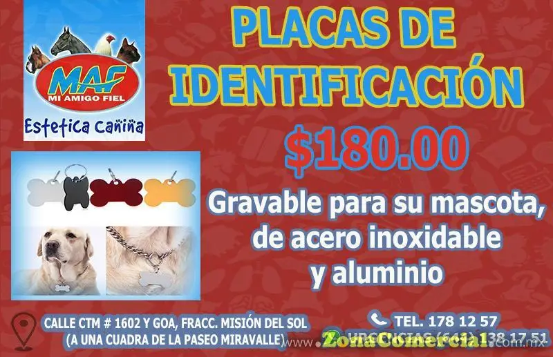 MI AMIGO FIEL PLACAS