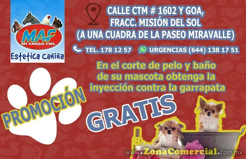 MI AMIGO FIEL PROMO BAÑO