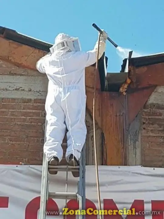 Fumigaciones Briones