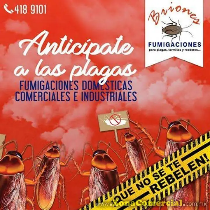 Fumigaciones Briones