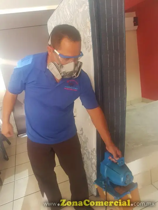 fumigaciones Briones