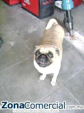 SERVIGASES INDUSTRIALES