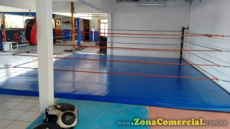 LONAS PARA GIMNACIOS