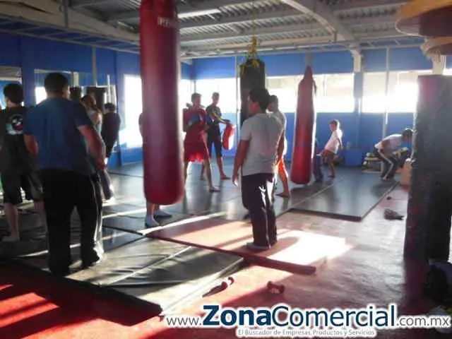 Box en X-Treme Baja Fitness