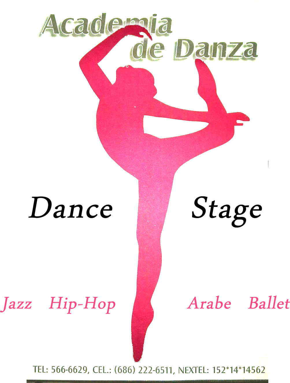 Academia de Danza Dance Stage-Jazz Hip-Hop Arabe Ballet    