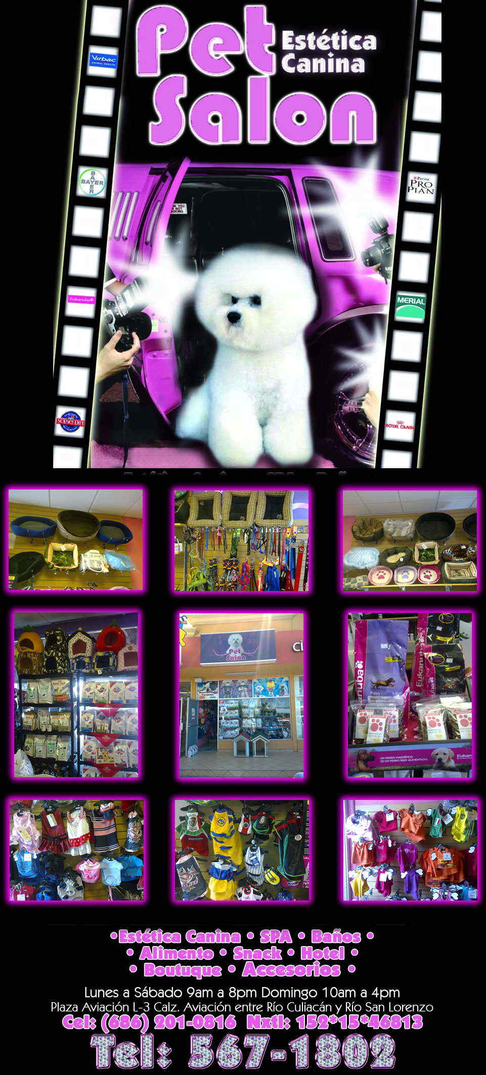 Pet Salon -*ESTETICA CANINA *SPA *BAÑOS *ALIMENTO *SNACK *HOTEL *BOUTIQUE *ACCESORIOS