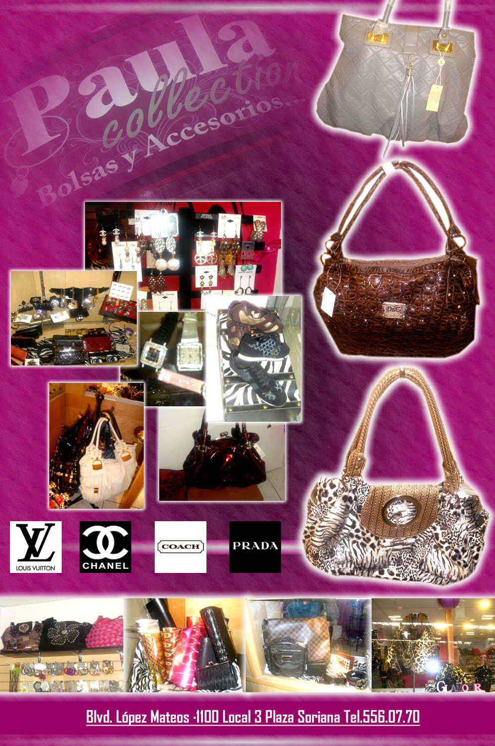Paula Collection