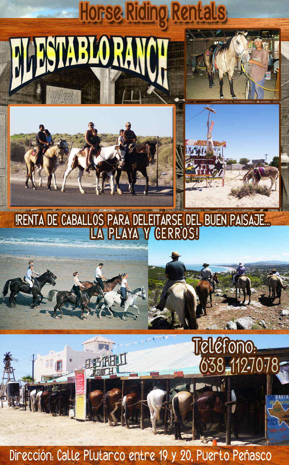 El establo ranch-RENTA DE CABALLOS PARA DELEITARSE DEL BUEN PAISAJE DE LA PLAYA Y CERROS!    