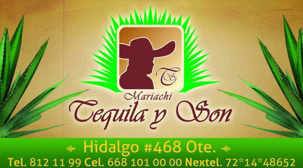 Mariachi Tequila y Son-Alegres por TradiciÃ³n        