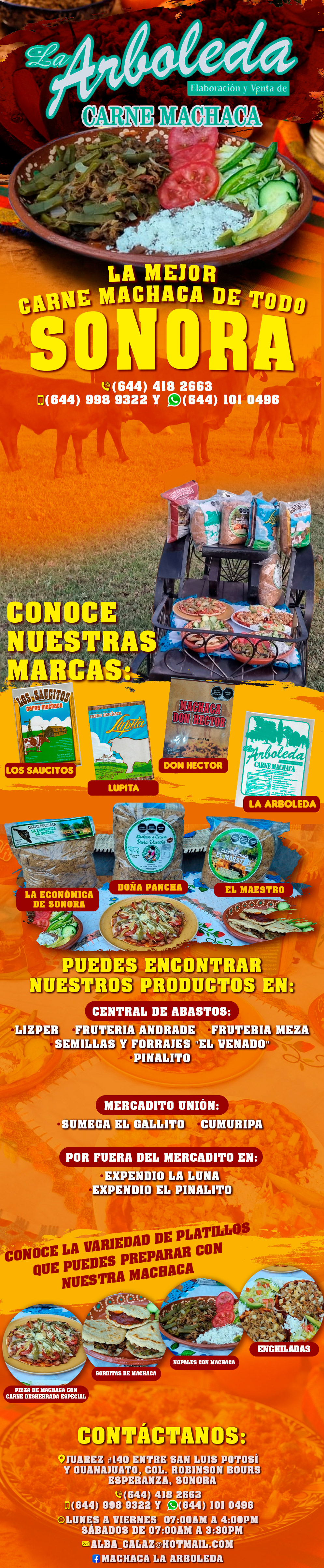 Machaca La Arboleda-La mejor Carne Machaca de TODO SONORA!! Venta de Carne Machaca y Carne Seca... Envíos a todo el Noroeste.            