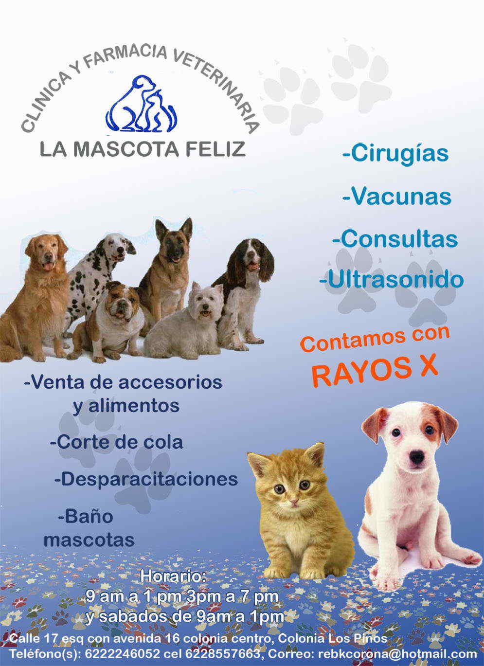 La Mascota Feliz-Médico veterinario zootecnista,
ultrasonidos y rayos x.                    