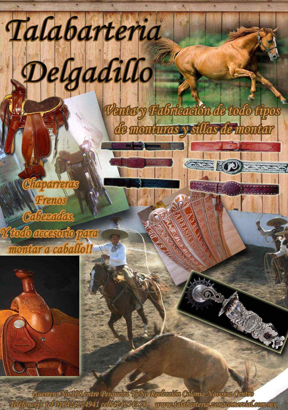 TALABARTERIA DELGADILLO-venta y fabricacion de todo tipos de monturas, sillas de montar, venta de chaparreras, frenos, cabezadas. Y todo acserorio para montar a caballo       