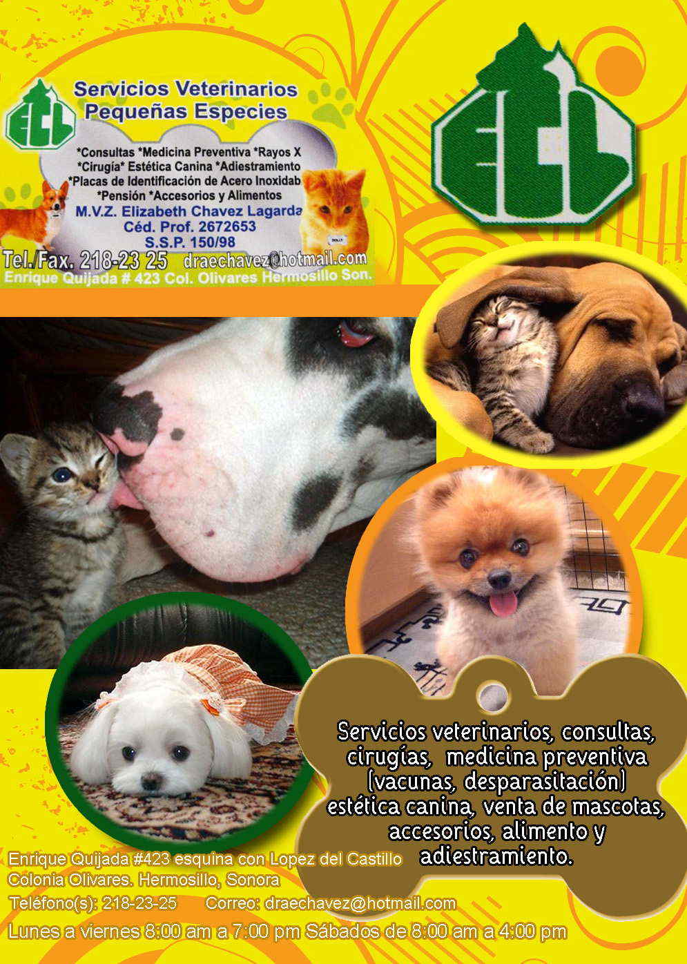SERVICIOS VETERINARIOS PEQUEÑAS ESPECIES