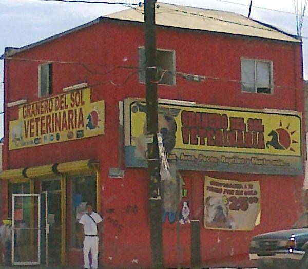 granero k es granero y veterinaria del sol en mexicali anunciado por granero k es granero y veterinaria del sol en mexicali anunciado por