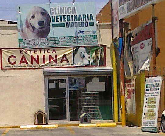 CLINICA VETERINARIA MADERO-MASCOTAS-AVES-PECES-REPTILES-ESTETICA CANINA Y MUCHO MAS.... 
        