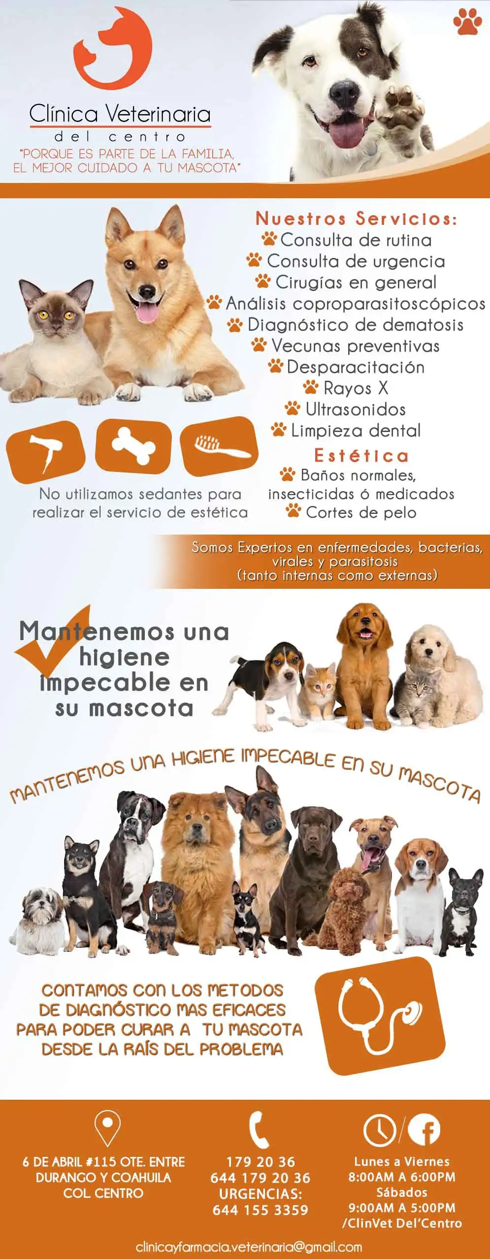 Clínica Veterinaria Del Centro