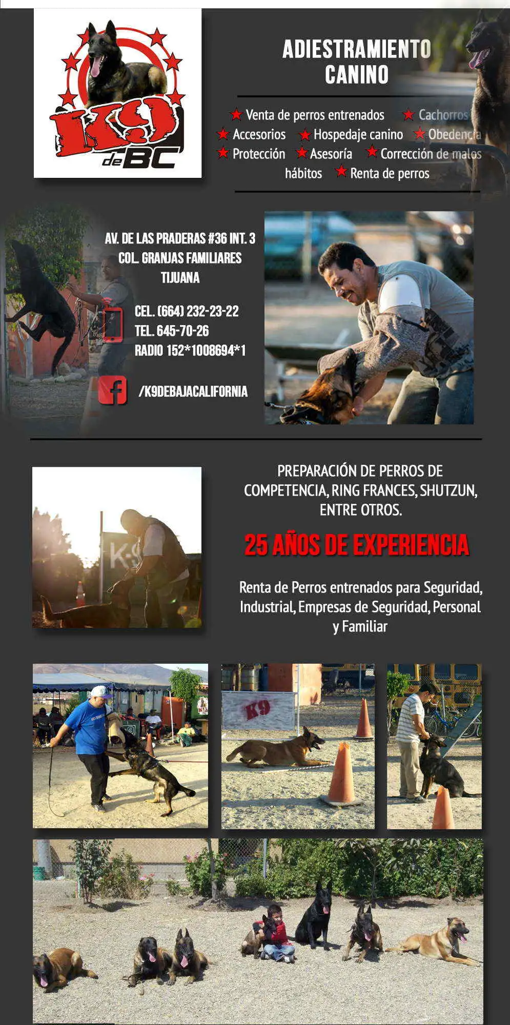 K9 de BC - Adiestramiento Canino.