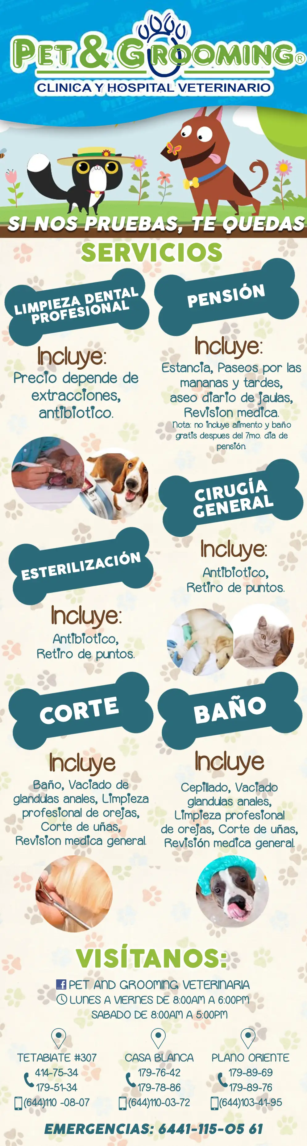 PET & GROOMING Clínica y Hospital Veterinaria