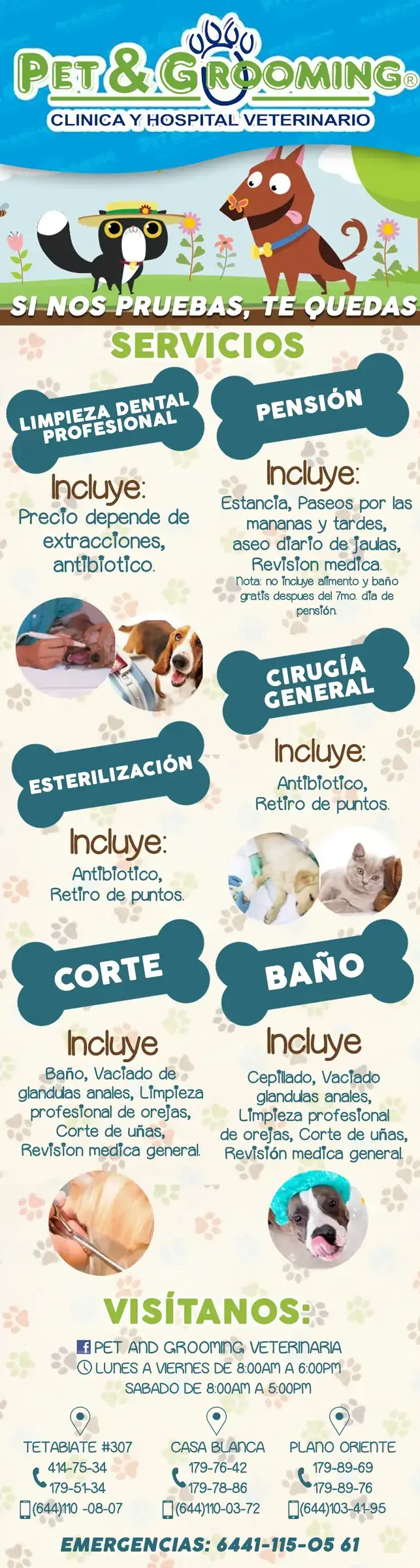 PET & GROOMING Clínica y Hospital Veterinaria