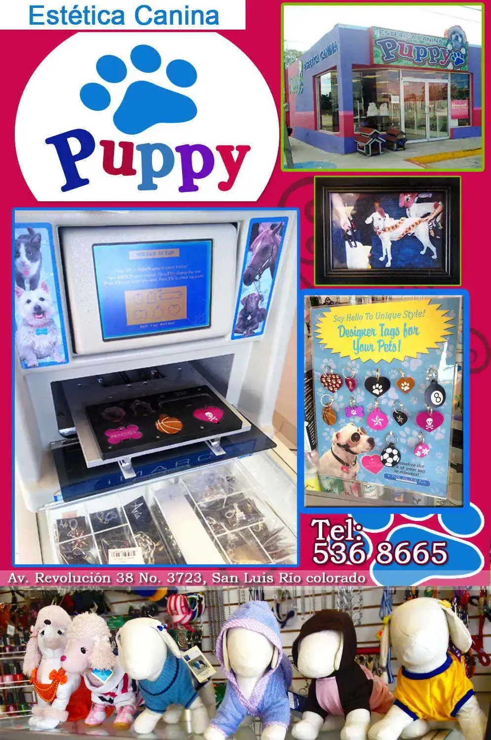 Puppy